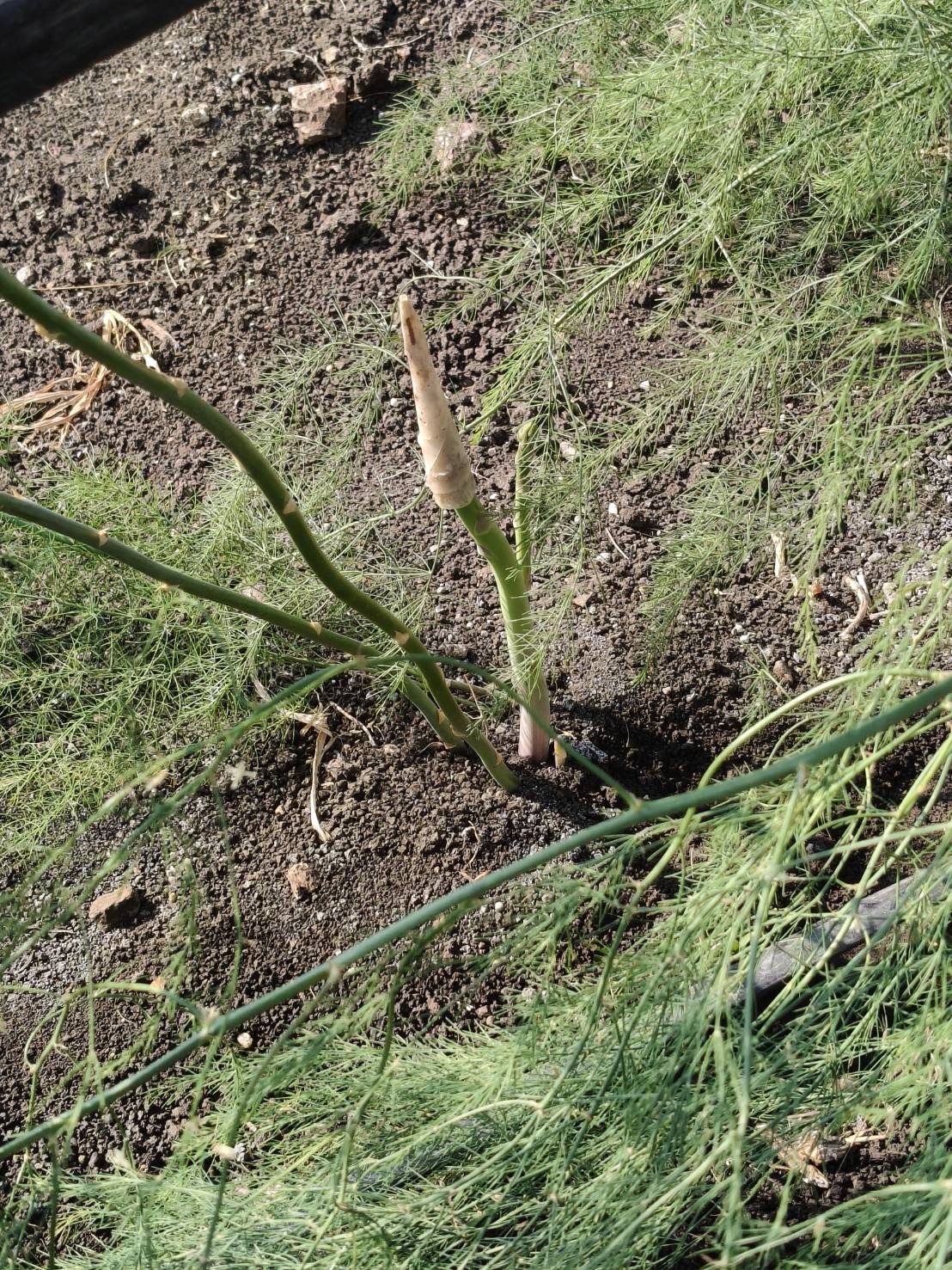 title - ผู้ตรวจราชการ ส.ป.ก. ประชุมตรวจติดตามความก้าวหน้าผลการดำเนินงานตามแผนการตรวจราชการ ประจำปีงบประมาณ พ.ศ. 2569 รอบที่ 1 เขตตรวจราชการที่ 1 จังหวัดลพบุรี